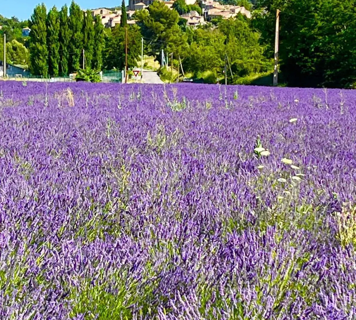 Holiday home Charmante Maison De Village Dans Le Luberon Beaumont-de-Pertuis